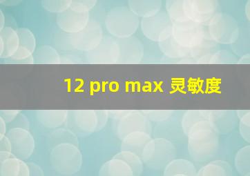 12 pro max 灵敏度